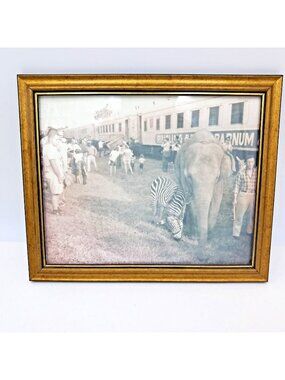 Vintage Ringling Bros Barnum & Bailey Circus Train Photo Framed Elephant Zebra